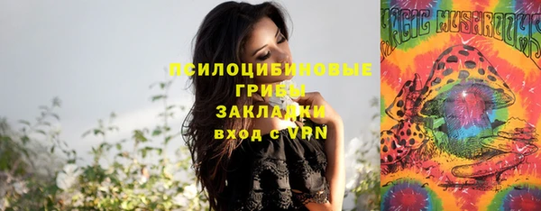 мяу мяу мука Верхний Тагил